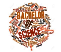 B.Sc. Program Image